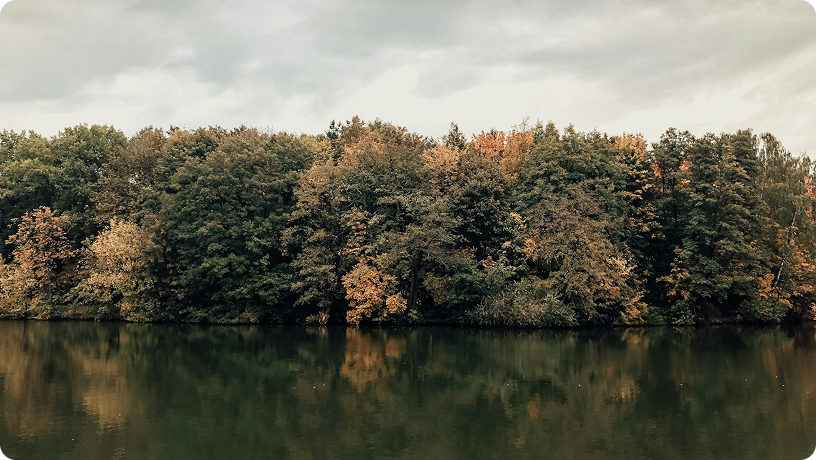 构建投资者信心飞轮