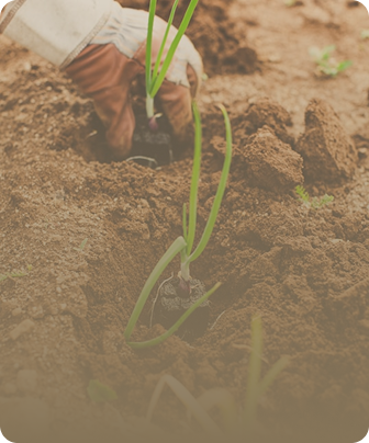 Rectangle 50 (3).png